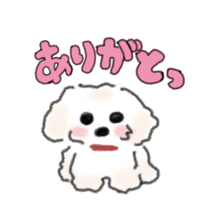 Hotateo_20260419005444