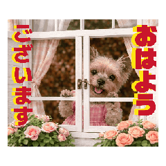 ayame_20260419123841