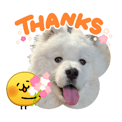 ronrin_20260418232722