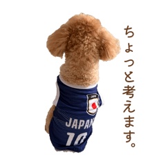 momo_20260418233550