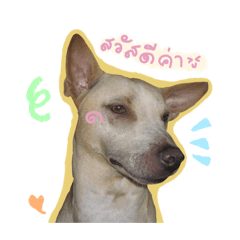 Kka1itozn_20260419033031