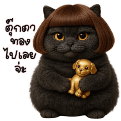 Black Cat with bob wig