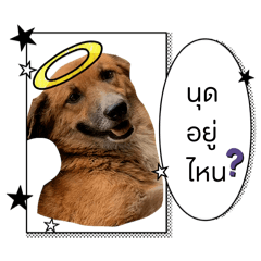 Pancake_20260419002332