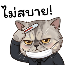 VISAWAH_20260419084722