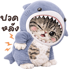 Tabby Cat Shark