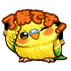 Budgie Momo-chan 01_Daily Life