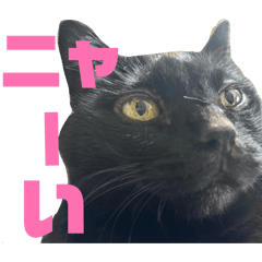 Momoko_20260419140821