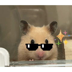 chacha_20260419115345