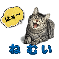 Mamimumemo_20260419141813