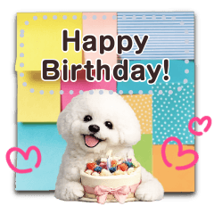 Bichon Frise memo sticky notes