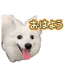 R_20260419120728