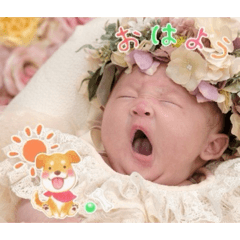 milky_20260416
