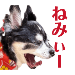 Genkaida_20260419042740