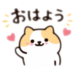 tanukiti_20260419132919