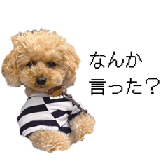 HINA OGURI_20260419133833