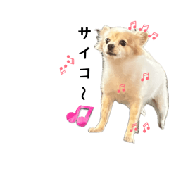 makki_20260419044016