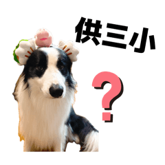 Yummy_20260415081405