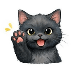 Expressive Black Cat (No Words)