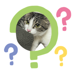 Naachan_20260419140555