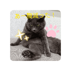 airia_20260419134728