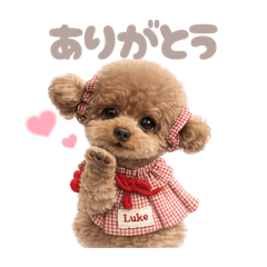 DOG STAMP ORDER_20260419143455