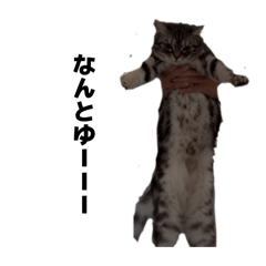 Maden_20260419144117