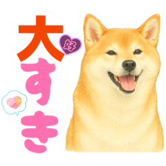 ippippi_20260419144816