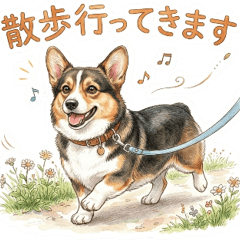 Corgi Pet Info Sharing (TriColor)