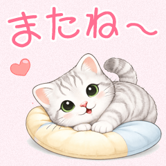 あまえんぼ赤ちゃんねこ