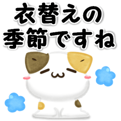 unmotivated cat honorific 3D