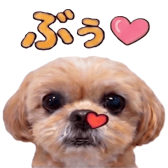buunonitijou