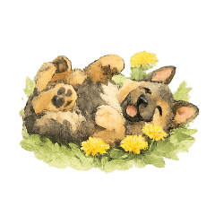 Shepherd Dog_rejinohito_20260417174827