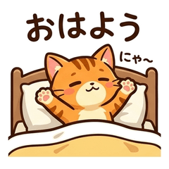 Super Cheerful Orange Cat