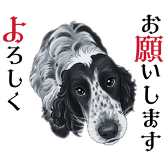 sheril mama_20260417183740