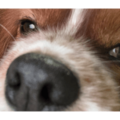 ayaka_20260419103208