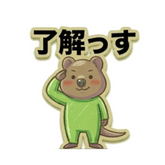 Quokka in Bodysuits