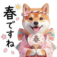 シバスプリング jp