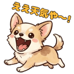 関西弁チワワさん ３