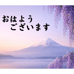 Elegant Fuji & Wisteria Phrases