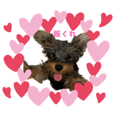 maachon_20260417232651