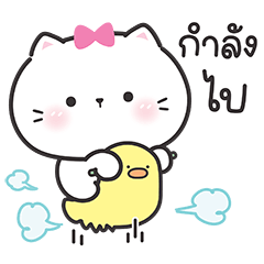 แคทตี้ เหมียวมินิคิ้วท์