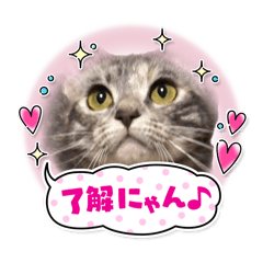 Naachan_20260419195033