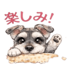 rainy_20260419195454