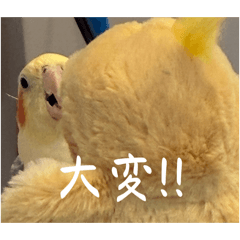 pipibokujou_20260419200007