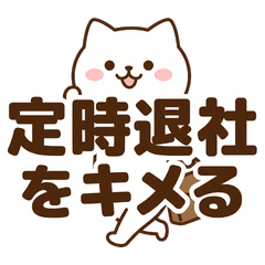 Salaryman's Truth: Working Adult Cat