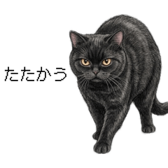 chanher10_20260418004338