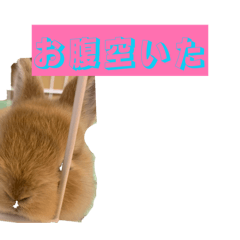 kanab_20260419110336