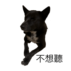 Fiona_20260419151057