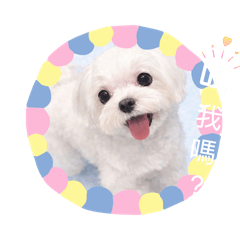 旺福語喵星