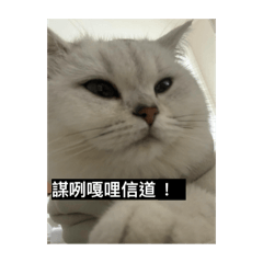 北爛糰日常1（販售版）